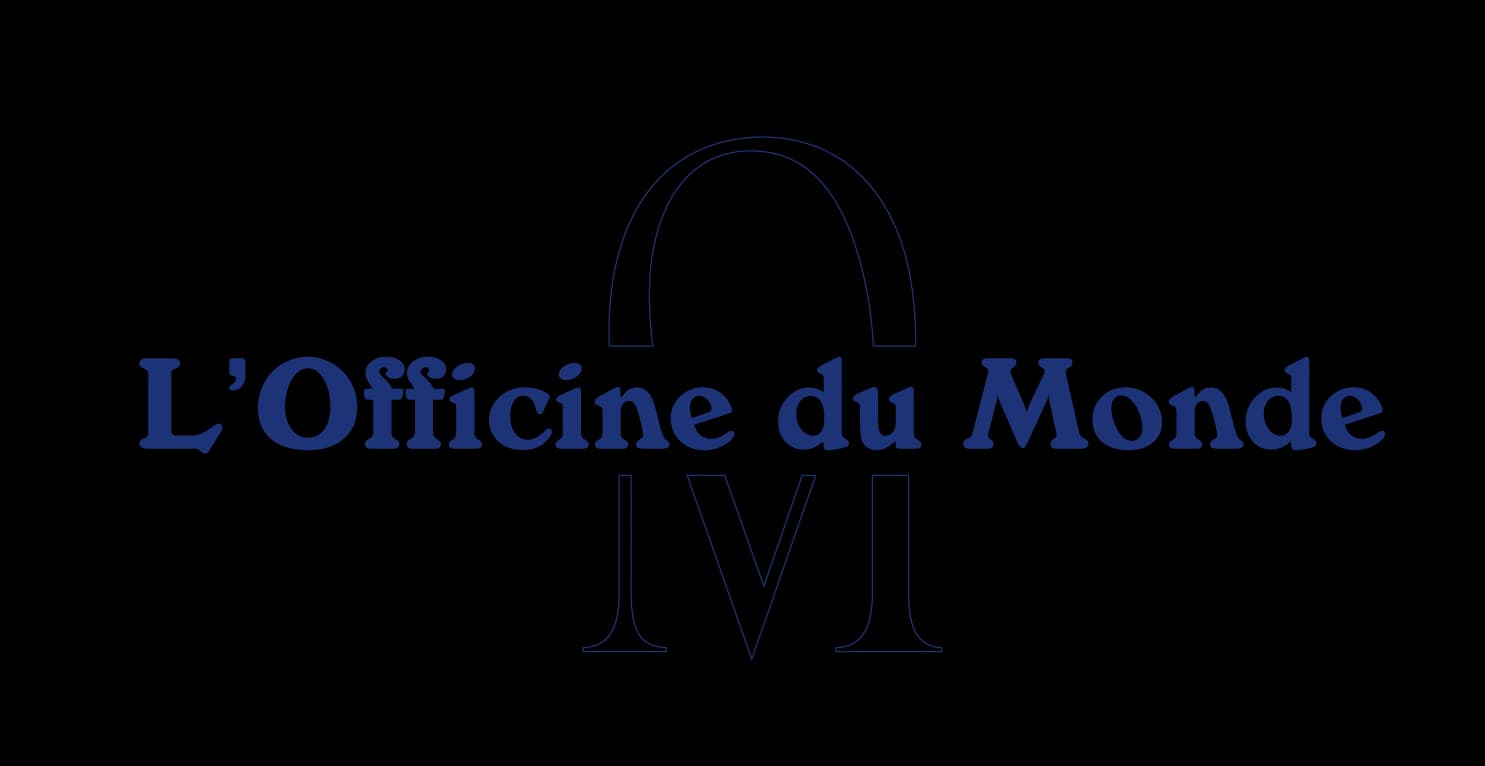 Logo 13